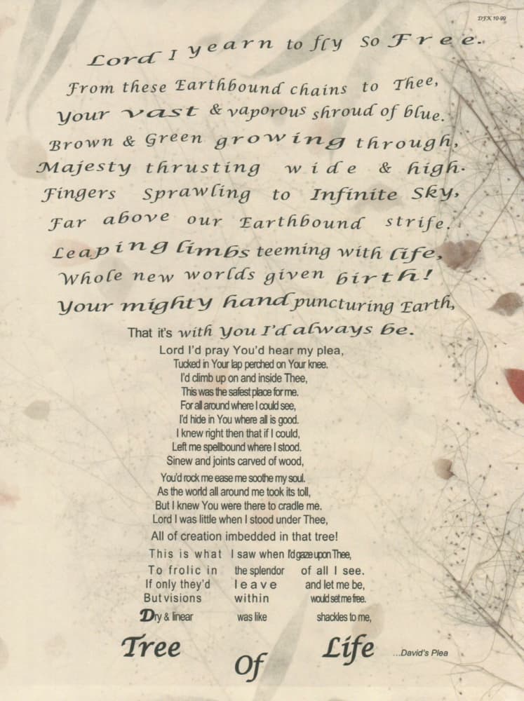 The Tree of Life a Ranting by David F Klein