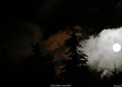C'Est Si Bon Lunar Wind © David F. Klein