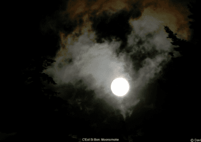 C'Est Si Bon Moonsmoke © David F. Klein