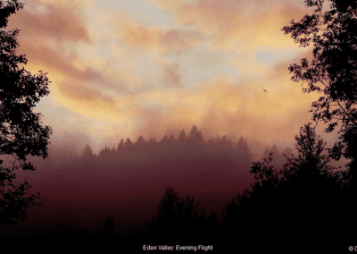 Eden Valley Evening Flt © David F. Klein