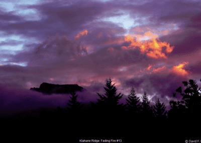 Fading Fire #13 © David F. Klein