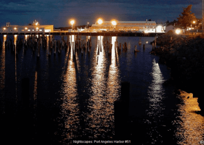 Nightscapes: Port Angeles #51 © David F. Klein