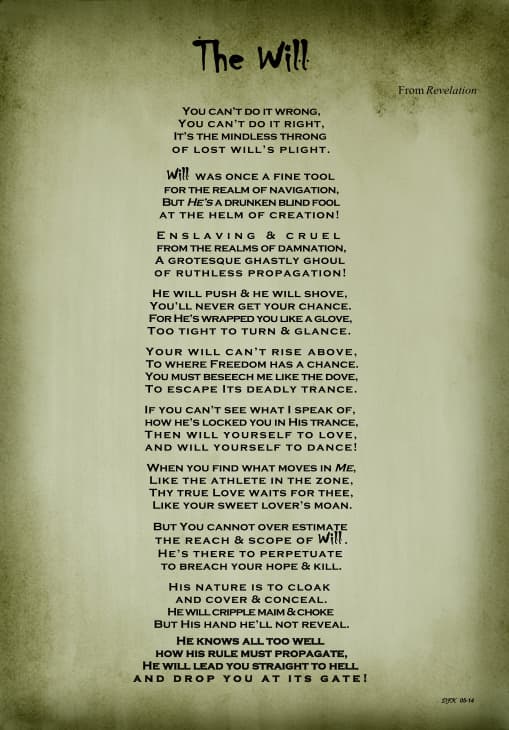The Will dark Ranting from David F Klein