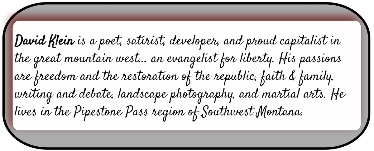 Bio for David F. Klein.